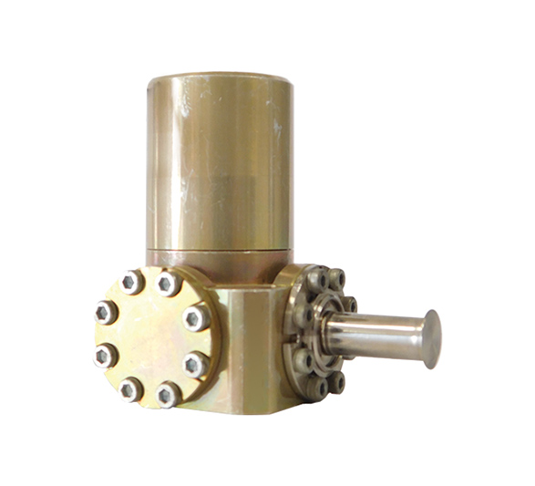 K562 SHORT