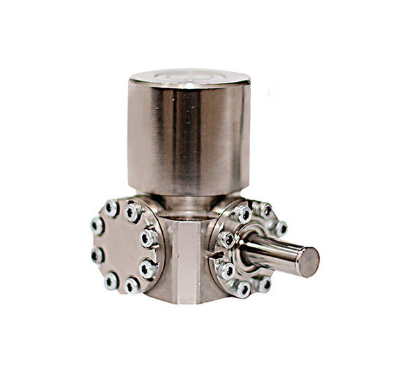 K562 SHORT IMPROVED