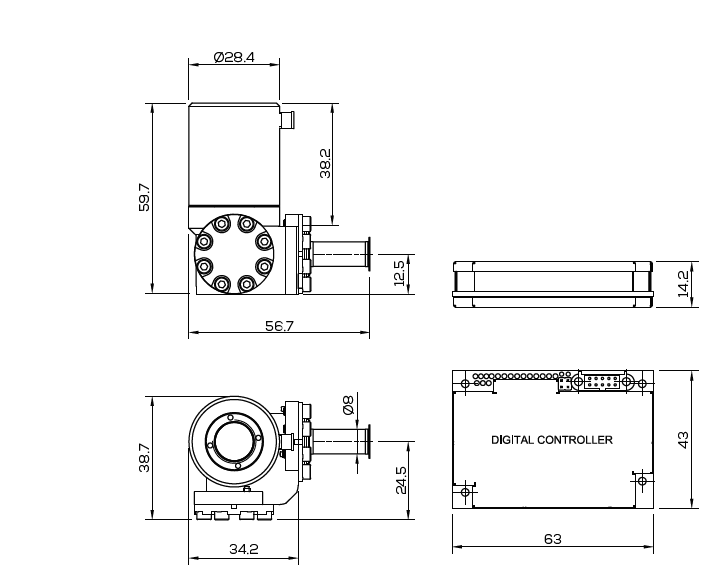 K562SHORT